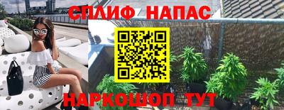 гидропоника Сланцы